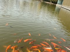 -春晖园度假酒店温泉