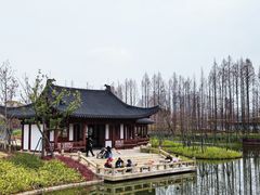 -江心屿景区