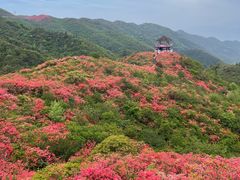 -大围山国家森林公园