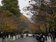 -鸡鸣赐茶(鸡鸣寺路店)