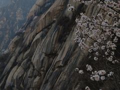 -北京凤凰岭