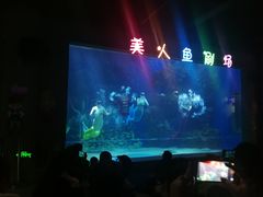 -邯郸海洋世界