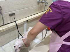 -暖阳宠物医院·犬猫康复中心·骨科