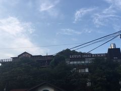 -Local泰莲庭(虹鳟鱼店)