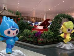 -温州龙湾国际机场