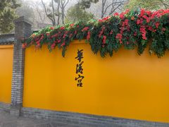 -华清宫景区
