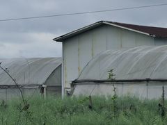 -夏河溪乡野公园