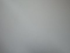 -巢爷老味(东方红店)