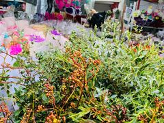 -循礼门鲜花花市(武汉循礼门店)