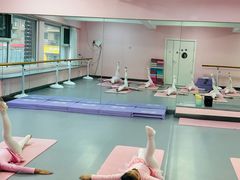 -蒲公英舞蹈艺术中心(促进路校区)