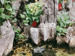 -丰圆轩粤式茶楼 . 点心粤菜(夏茅店)