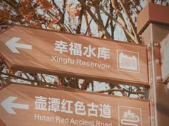 -四明山国家森林公园