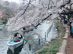 -井之头恩赐公园