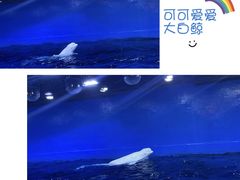 -海合安天津极地海洋公园