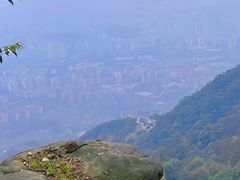 -缙云山景区