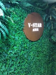 -V-STAR威斯达•高级私人定制