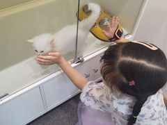 -万达影城(新街口印象汇CINITY店)