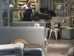 大堂-小时光咖啡馆(开森度假森林店)