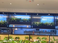 大堂-摩欧客意式餐厅(高新活力汇店)