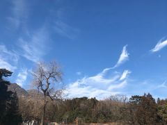 -北京鹫峰国家森林公园