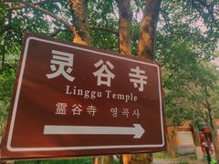 -灵谷景区