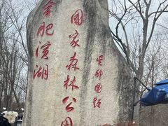 -合肥滨湖国家森林公园