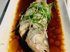 -云中小雅