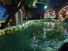 -南昌海洋公园