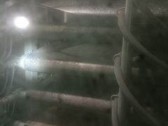 烤土豆片-肥猫烧烤居(蓝湖绿城店)