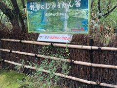 -野宫神社