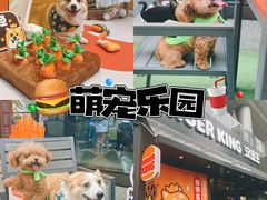 -汉堡王(徐汇绿地缤纷店)