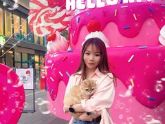 -东莞松山湖万象汇