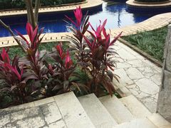 picture-三亚亚龙湾红树林度假酒店