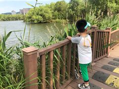 -长兴太湖图影湿地文化园