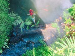 -Chom Cafe and Restaurant