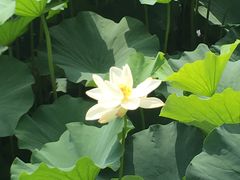 -江南大学(蠡湖校区)