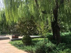 -元大都城垣遗址公园