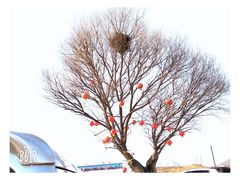 -后院烤吧·木炭烧烤·烤鱼·云贵川火锅(忻州古城店)