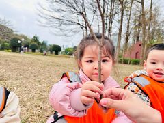 -金点蒙氏国际教育(悠然校区)