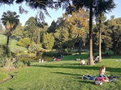 -墨尔本皇家植物园