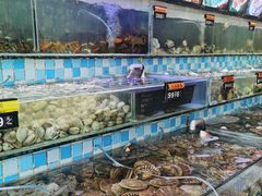水产区-四海蒸鲜蒸汽海鲜自助(北戴河店)