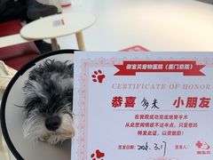 -御宝贝24h宠物医院·转诊中心·CT核磁血透中心(厦门总院)