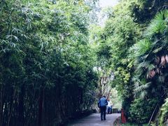 -重庆彩云湖湿地公园