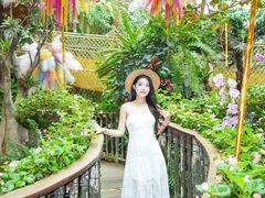 -正佳雨林生态植物园