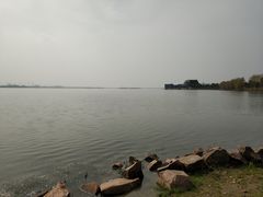 -漕湖湿地公园