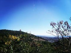 -府君山公园