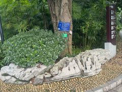 -柳侯公园