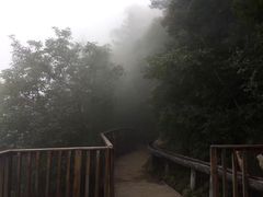 -老界岭旅游度假区