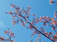 -风云岭森林公园