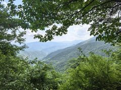 -牛背梁国家森林公园